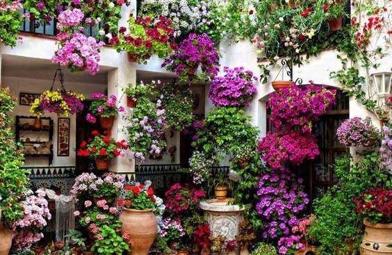 Rumah sebagai Tempat Kembali yang Penuh Ketenangan